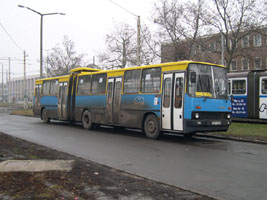 Debrecen, Nagylloms, 2005.01.02.