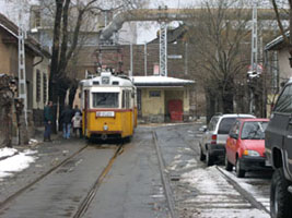 Tulipn utca, 2004.02.29